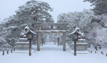 白山神社や弥彦神社で初詣